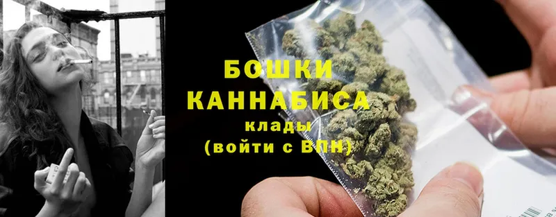 где купить наркоту  OMG как зайти  МАРИХУАНА OG Kush  Каргополь 